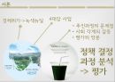 [정책政策 연구 분석] 이명박 정부의 4대강 살리기 사업 정책결정과정 특징, 의제설정모형, 정책 결정과정분석, 정책 결정과정 평가 3페이지