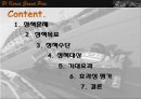 [F1 코리아Korea그랑프리] F1 코리아 그랑프리 배경, F1 코리아 그랑프리 경제효과, F1 코리아 그랑프리 기대효과, F1 코리아 그랑프리 특징, F1 코리아 그랑프리 전망
   2페이지