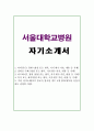 분당서울대병원자기소개서 서울대학교병원자기소개서 합격자소서자기소개서&면접, 자소서분당서울대학교병원 간호사 자기소개서, 서울대병원 자기소개서, 서울대학교병원자소서 항목첨삭 지원동기 채용 1페이지
