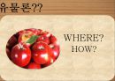 헤겔Hegel의 철학 4페이지