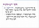 외국인 노동자의 현실  11페이지