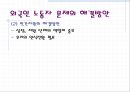 외국인 노동자의 현실  19페이지