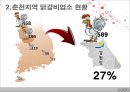 춘천 닭갈비  6페이지
