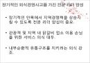 춘천 닭갈비  27페이지