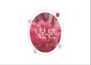 결혼을 통해 보는 종교  5페이지
