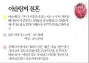 결혼을 통해 보는 종교  13페이지