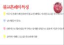 결혼을 통해 보는 종교  29페이지