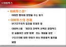 부르디외의 계급이론 5페이지
