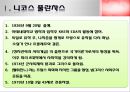 니코스 풀란차스 (신마르크스주의, 풀란차스의 관점).ppt 4페이지