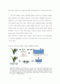 GMO(Genetically Modified Organism)의 기술 및 사회경제적 접근으로의 고찰 15페이지