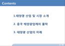 중국 태양광 산업의 미래.pptx 2페이지