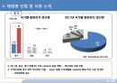 중국 태양광 산업의 미래.pptx 8페이지