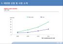 중국 태양광 산업의 미래.pptx 12페이지