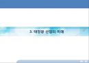 중국 태양광 산업의 미래.pptx 20페이지