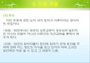 [사회복지행정론] 제10장 인사관리 16페이지
