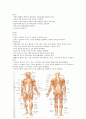 [성인간호학] 근골격계 구조와 기능 5페이지