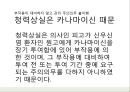 항생제관련 판례  카나마이신 (kanamycin).pptx
 3페이지