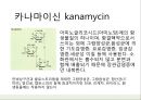 항생제관련 판례  카나마이신 (kanamycin).pptx
 6페이지
