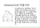 항생제관련 판례  카나마이신 (kanamycin).pptx
 7페이지