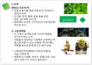 디자인과 창의적 발상 - 디자인과 조형의 원리  19페이지