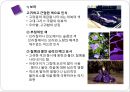 디자인과 창의적 발상 - 디자인과 조형의 원리  20페이지