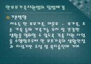 한 부모 가족지원법 24페이지