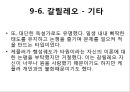 갈릴레오 갈릴레이(Galileo Galilei)발표자료 15페이지