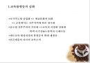 교육불평등 - 교육 격차, 교육불평등 현황.ppt 15페이지