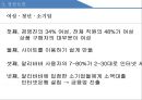 [창업] 성공적 창업 사례조사 - 황효진 (BJ소닉, 신발팜), 마윈 (알리바바, 타오바오), 정선희 (시루, 설빙).pptx 11페이지