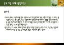 ★우수레포트★[환경 경영環境經營] ISO 14000 기업사례 분석 (외국 기업, 국내기업 분석), ECOVER의 환경경영, 풀잎라인의 환경 경영 6페이지