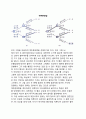 [순차게임 (Sequential Game)] 순차게임의 의의와 구조, 순차게임의 균형, 순차게임에서 순서가 갖는 이점 7페이지