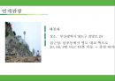 ★ 축제 - 부산항 축제 23페이지