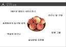 ★ 스포츠 마케팅 - 농구( BASKETBALL,  안양 KGC 인삼공사) 9페이지