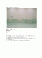  미술의 이해 - Busan Biennale(work of art) 8페이지