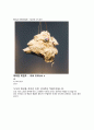  미술의 이해 - Busan Biennale(work of art) 10페이지