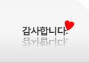 한국 대학교 사회의 이해 - 청소년흡연지도프로그램 16페이지