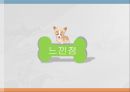 ★ 이벤트컨벤션 - 대구펫쇼  27페이지