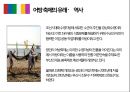 이벤트컨벤션원론 - 광안리 어방축제 3페이지