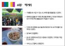 이벤트컨벤션원론 - 광안리 어방축제 12페이지