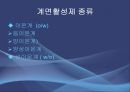 에멀젼 제조 실험實驗 6페이지