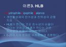 에멀젼 제조 실험實驗 8페이지