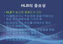에멀젼 제조 실험實驗 10페이지
