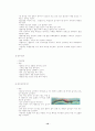 초보자를 위한 6주간의 수영 지도법 (자유형, 평영, 접영) 10페이지