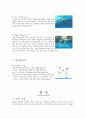 수영 (자유형, 평영, 접영의 지도법) 10페이지
