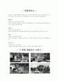 [노인요양시설 방문 보고서] 선덕효심원(善德孝心阮) - 노인요양시설 선덕효심원 서비스, 노인요양시설 선덕효심원 특징, 선덕효심원 인터뷰, 선덕효심원 방문 소감, 노인요양시설에 대하여 10페이지