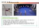 백조의 호수 13페이지