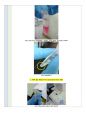 생화학A+) RNA 분리 및 농도측정과 전기영동법 6페이지