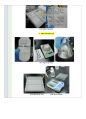 생화학A+) RNA 분리 및 농도측정과 전기영동법 7페이지