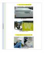 영양생화학실험A+) plasmid DNA 분리 및 DNA 농도 측정, 전기영동 5페이지