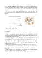 이상지질혈증 발표 레포트 15페이지